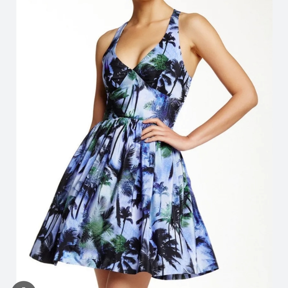 Amanda Uprichard silk palm dress